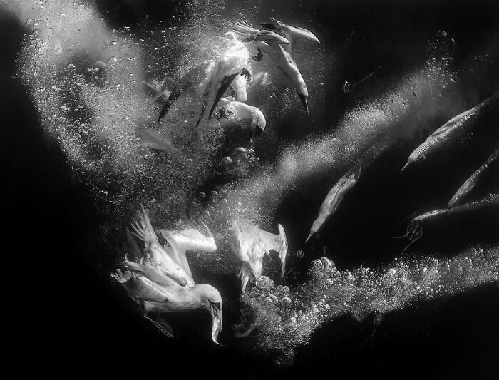 Here Are The Best 70 Pics Of 2026, As Shared By Siena International Photo Awards