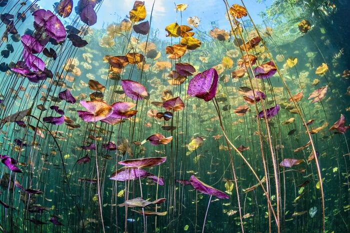 Here Are The Best 70 Pics Of 2026, As Shared By Siena International Photo Awards