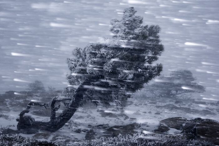 Here Are The Best 70 Pics Of 2026, As Shared By Siena International Photo Awards
