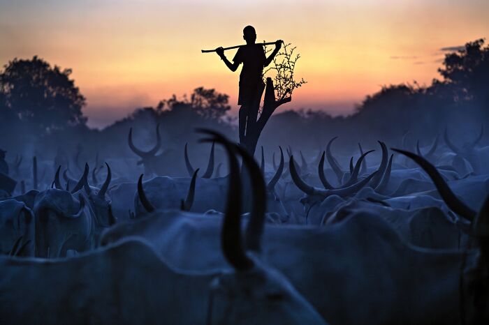 Here Are The Best 70 Pics Of 2026, As Shared By Siena International Photo Awards
