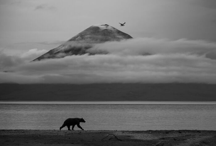 Here Are The Best 70 Pics Of 2026, As Shared By Siena International Photo Awards