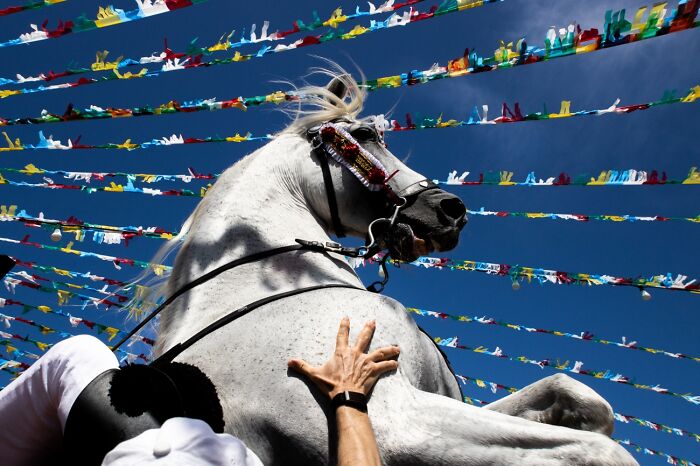 Here Are The Best 70 Pics Of 2026, As Shared By Siena International Photo Awards