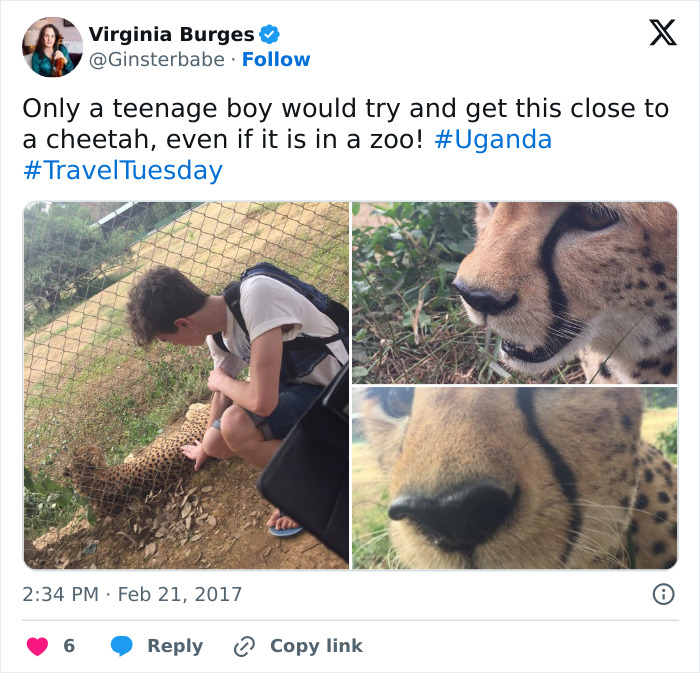 Chilling Posts From Mom Of Former Child Actor Who Entered Tiger Enclosure Raise Questions After Fatal Incident