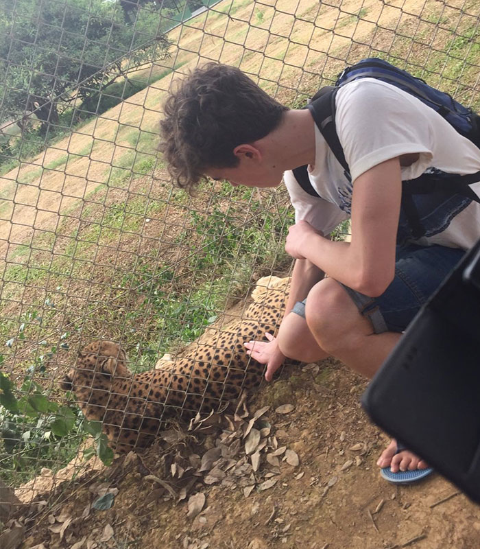 Chilling Posts From Mom Of Former Child Actor Who Entered Tiger Enclosure Raise Questions After Fatal Incident