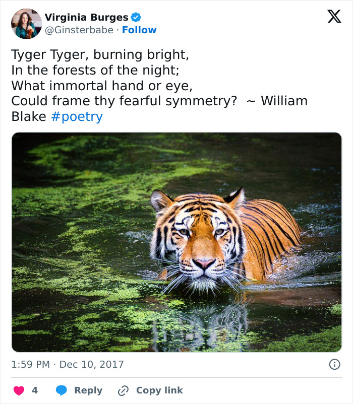 Chilling Posts From Mom Of Former Child Actor Who Entered Tiger Enclosure Raise Questions After Fatal Incident