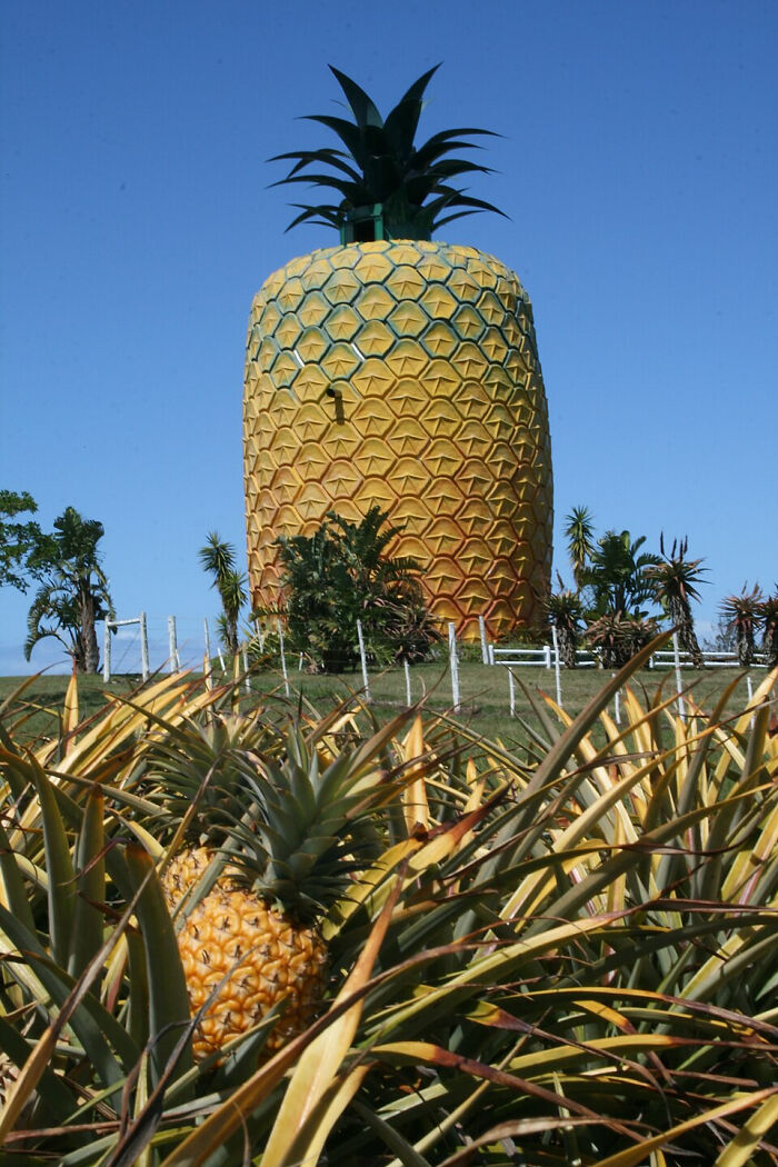“Looks Almost Alive”: 72 Strange Buildings That Prove Architects Don’t Always Play By The Rules “Looks Almost Alive”: 72 Strange Buildings That Prove Architects Don’t Always Play By The Rules