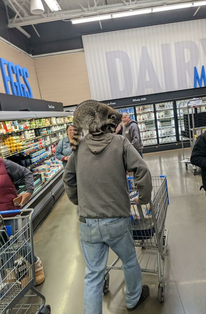 Walmart Is Its Own Little Ecosystem And These 70 Local Residents Are Truly Bizarre Specimens Walmart Is Its Own Little Ecosystem And These 70 Local Residents Are Truly Bizarre Specimens