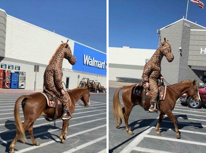 Walmart Is Its Own Little Ecosystem And These 70 Local Residents Are Truly Bizarre Specimens Walmart Is Its Own Little Ecosystem And These 70 Local Residents Are Truly Bizarre Specimens