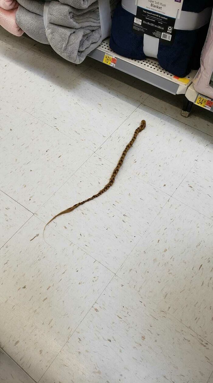 Walmart Is Its Own Little Ecosystem And These 70 Local Residents Are Truly Bizarre Specimens Walmart Is Its Own Little Ecosystem And These 70 Local Residents Are Truly Bizarre Specimens