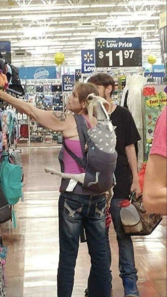 Walmart Is Its Own Little Ecosystem And These 70 Local Residents Are Truly Bizarre Specimens Walmart Is Its Own Little Ecosystem And These 70 Local Residents Are Truly Bizarre Specimens