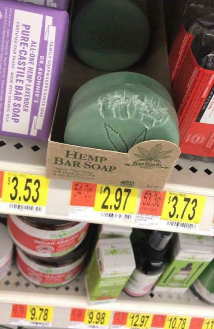 Walmart Is Its Own Little Ecosystem And These 70 Local Residents Are Truly Bizarre Specimens Walmart Is Its Own Little Ecosystem And These 70 Local Residents Are Truly Bizarre Specimens