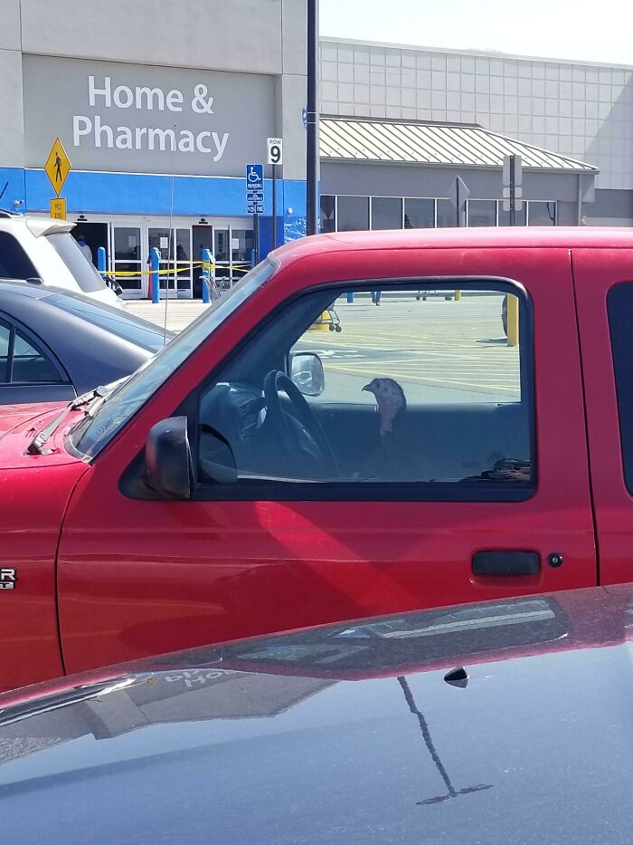 Walmart Is Its Own Little Ecosystem And These 70 Local Residents Are Truly Bizarre Specimens Walmart Is Its Own Little Ecosystem And These 70 Local Residents Are Truly Bizarre Specimens