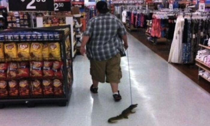 Walmart Is Its Own Little Ecosystem And These 70 Local Residents Are Truly Bizarre Specimens Walmart Is Its Own Little Ecosystem And These 70 Local Residents Are Truly Bizarre Specimens