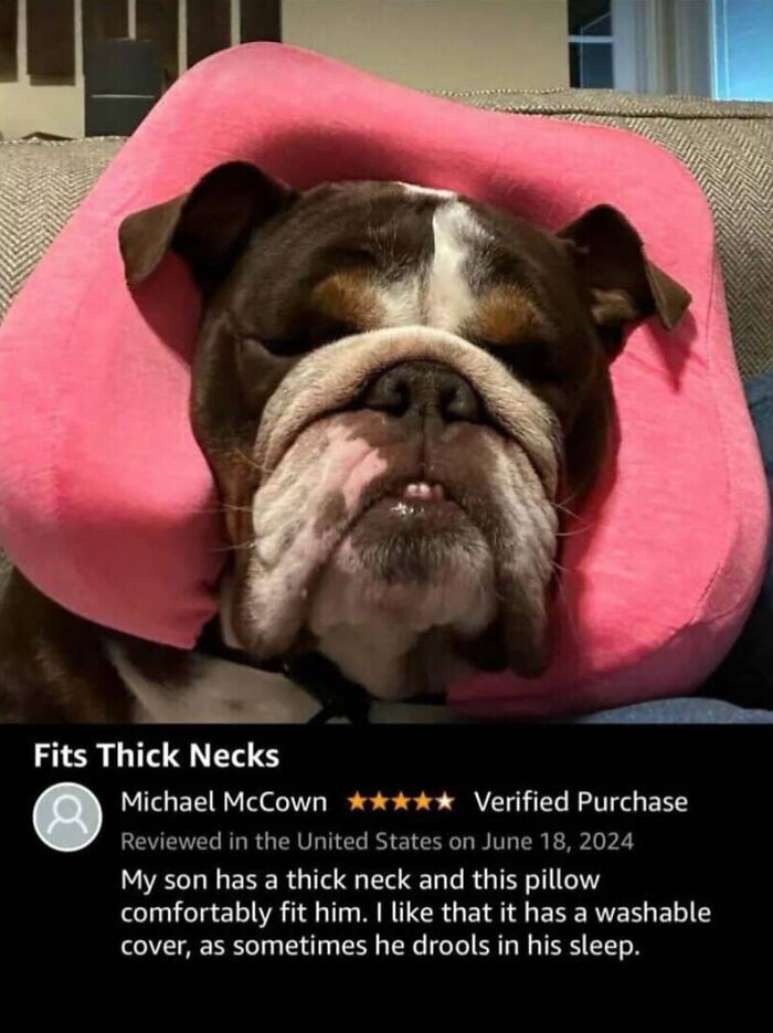 59 Hilarious And Unexpected Amazon Reviews That Got More Attention Than The Product (New Pics)