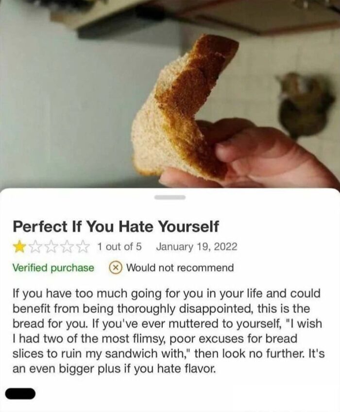 59 Hilarious And Unexpected Amazon Reviews That Got More Attention Than The Product (New Pics)