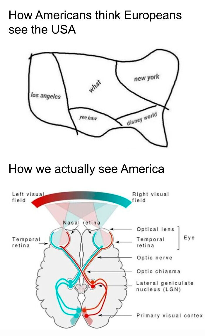 72 Memes That Are So Technically Correct You Might Hate It 72 Memes That Are So Technically Correct You Might Hate It