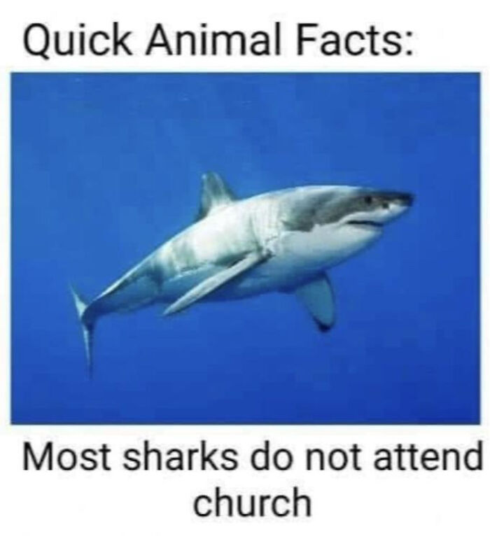 72 Memes That Are So Technically Correct You Might Hate It 72 Memes That Are So Technically Correct You Might Hate It