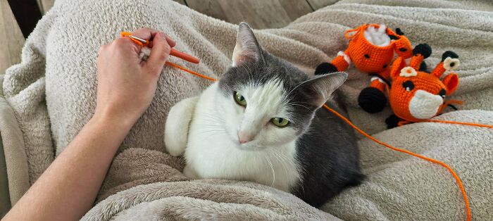 79 Creative Crochet Projects That Prove Yarn Can Become Just About Anything (New Pics) 79 Creative Crochet Projects That Prove Yarn Can Become Just About Anything (New Pics)