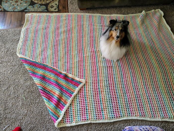 79 Creative Crochet Projects That Prove Yarn Can Become Just About Anything (New Pics) 79 Creative Crochet Projects That Prove Yarn Can Become Just About Anything (New Pics)