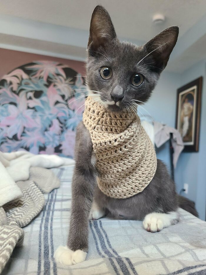79 Creative Crochet Projects That Prove Yarn Can Become Just About Anything (New Pics) 79 Creative Crochet Projects That Prove Yarn Can Become Just About Anything (New Pics)