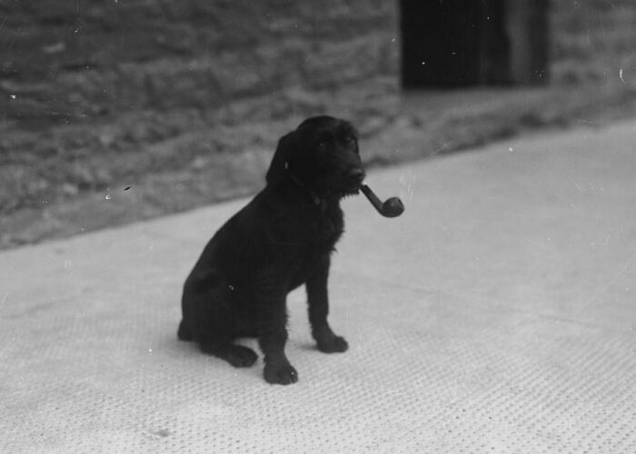 84 Rare Historical Photos That Show A Side Of The Past Most People Never Get To See 84 Rare Historical Photos That Show A Side Of The Past Most People Never Get To See