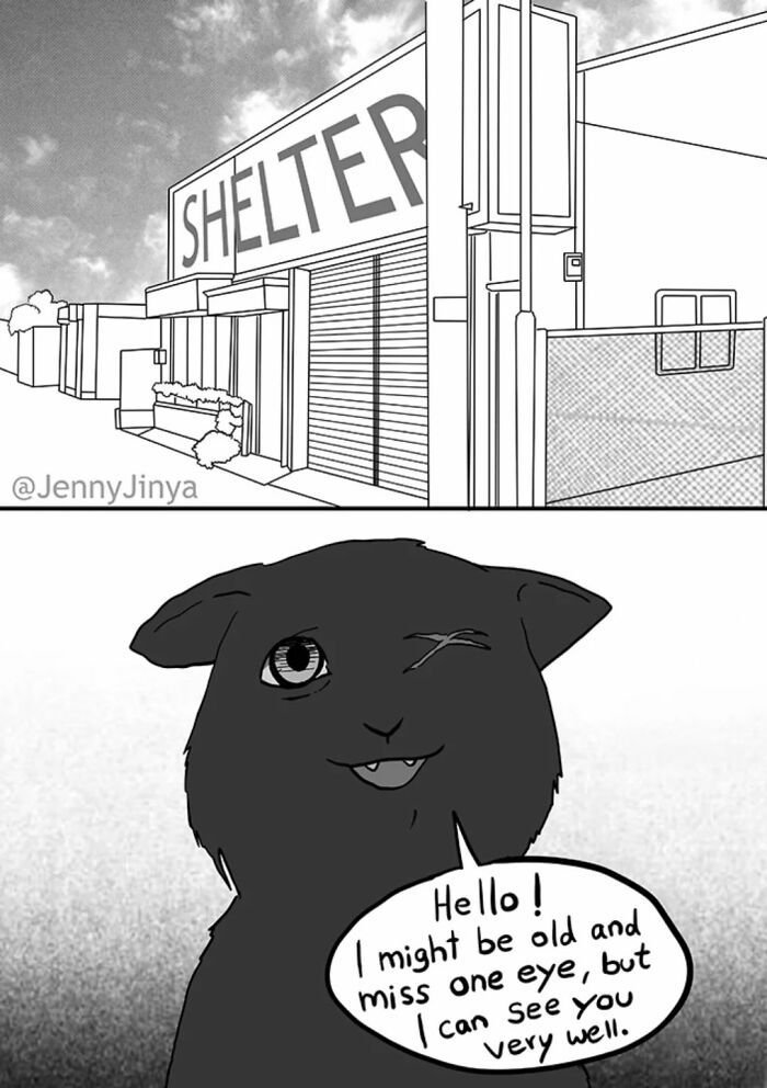 This Artist Creates Emotional Animal Comics That Might Bring Tears To Your Eyes (7 New Stories)