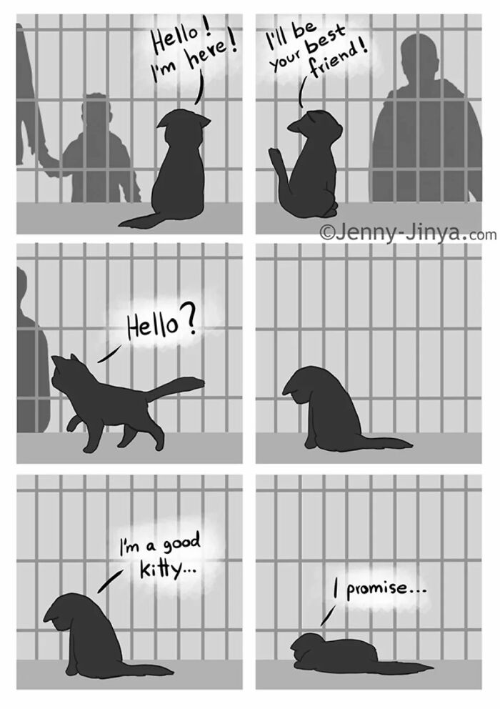 This Artist Creates Emotional Animal Comics That Might Bring Tears To Your Eyes (7 New Stories)