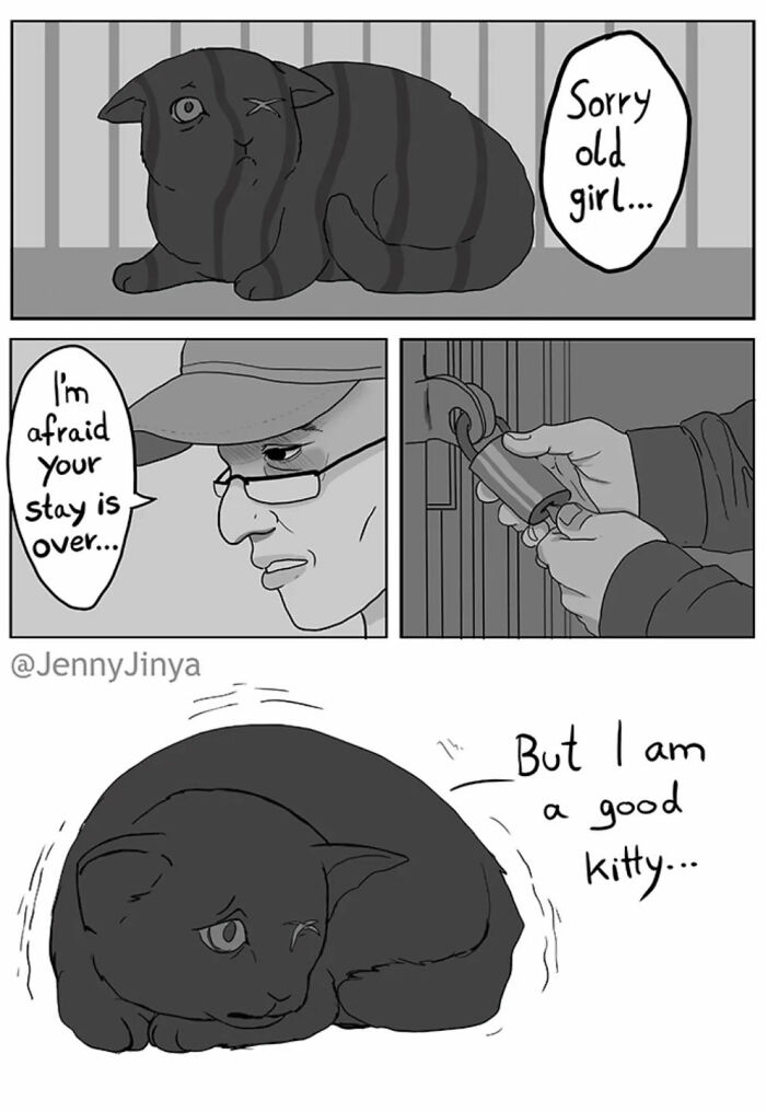 This Artist Creates Emotional Animal Comics That Might Bring Tears To Your Eyes (7 New Stories)