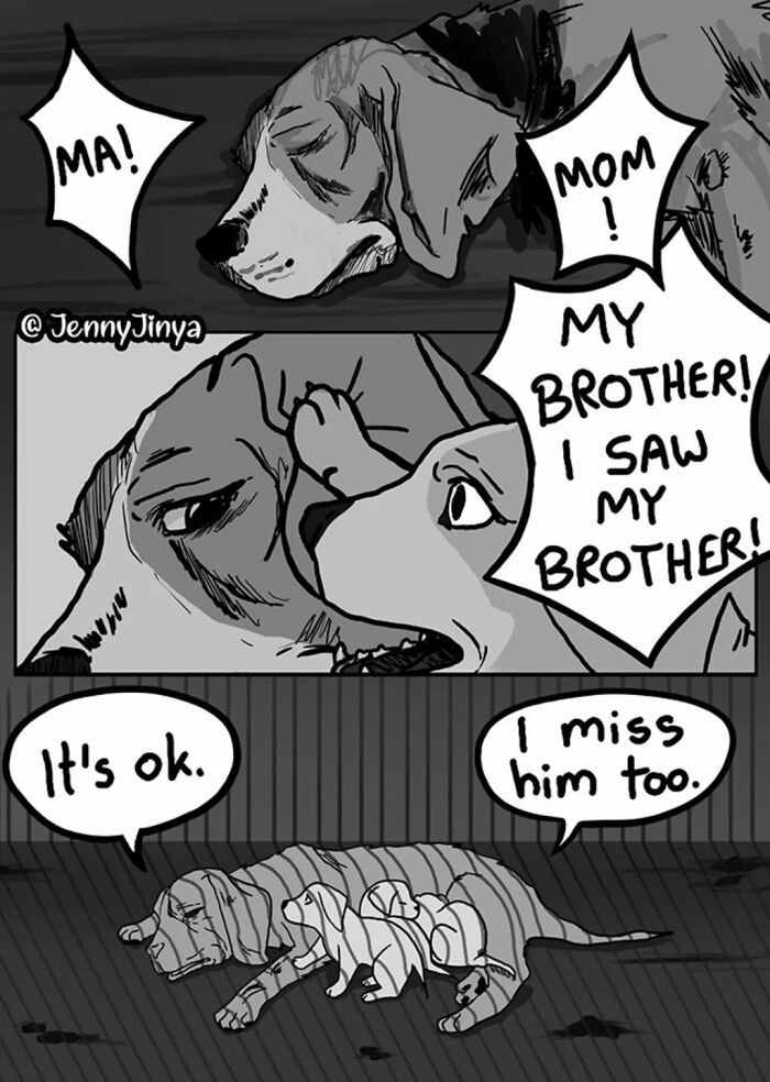 This Artist Creates Emotional Animal Comics That Might Bring Tears To Your Eyes (7 New Stories)