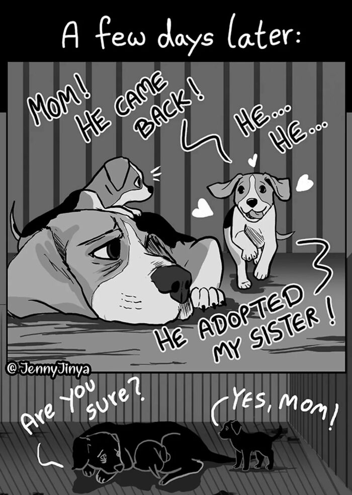 This Artist Creates Emotional Animal Comics That Might Bring Tears To Your Eyes (7 New Stories)