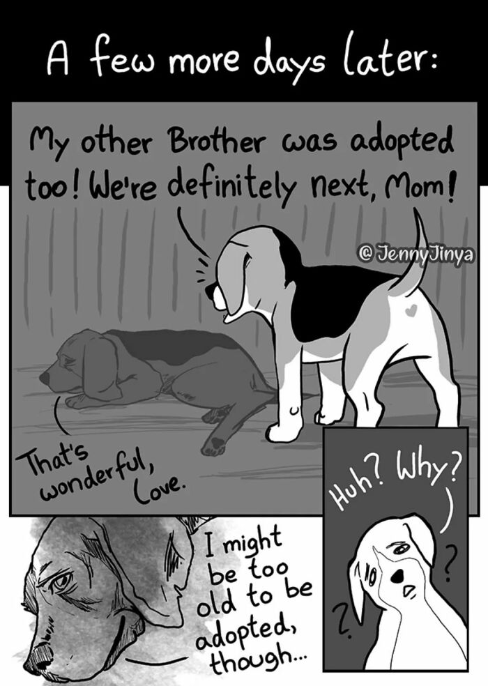 This Artist Creates Emotional Animal Comics That Might Bring Tears To Your Eyes (7 New Stories)