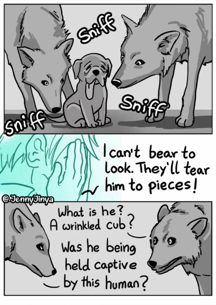 This Artist Creates Emotional Animal Comics That Might Bring Tears To Your Eyes (7 New Stories)