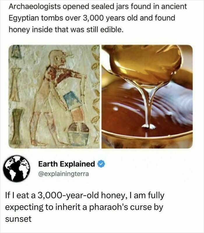 81 Amusing Sentences That Came Out Of Nowhere And Had People Raising Their Eyebrows (New Pics)