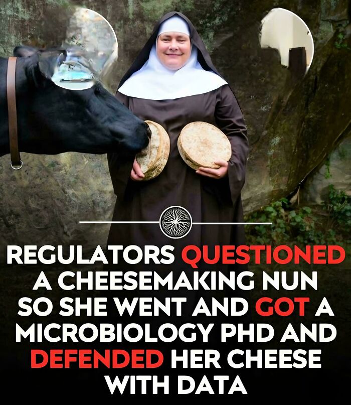 81 Amusing Sentences That Came Out Of Nowhere And Had People Raising Their Eyebrows (New Pics)