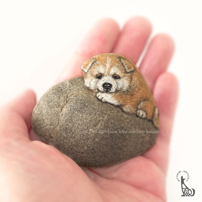 Japanese Artist Transforms Ordinary Stones Into Adorable Dogs With Incredible Detail (30 Pics)
