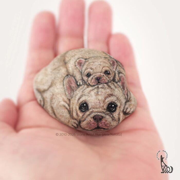 Japanese Artist Transforms Ordinary Stones Into Adorable Dogs With Incredible Detail (30 Pics)
