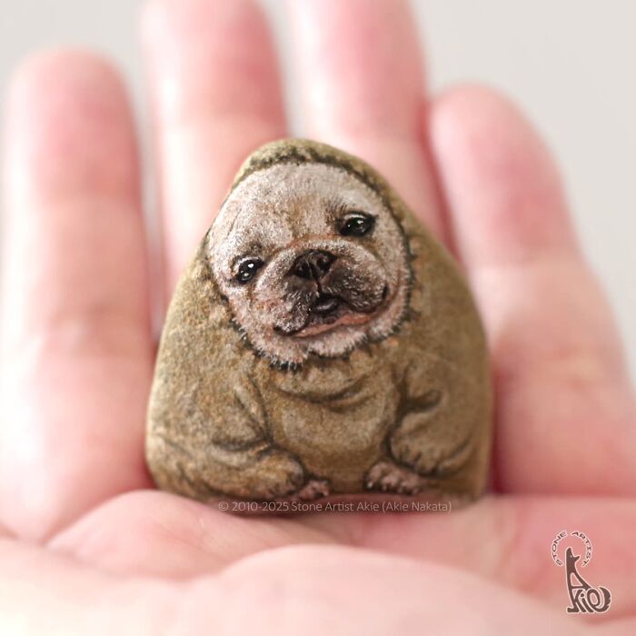 Japanese Artist Transforms Ordinary Stones Into Adorable Dogs With Incredible Detail (30 Pics)