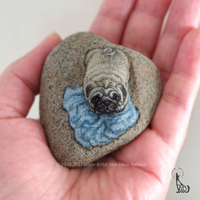 Japanese Artist Transforms Ordinary Stones Into Adorable Dogs With Incredible Detail (30 Pics)
