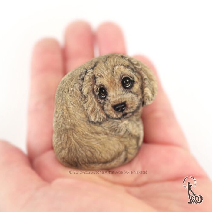 Japanese Artist Transforms Ordinary Stones Into Adorable Dogs With Incredible Detail (30 Pics)