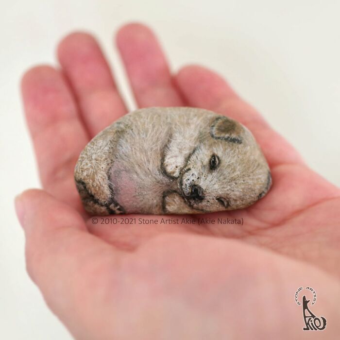 Japanese Artist Transforms Ordinary Stones Into Adorable Dogs With Incredible Detail (30 Pics)