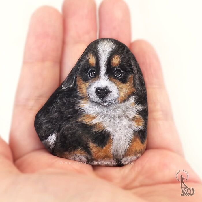 Japanese Artist Transforms Ordinary Stones Into Adorable Dogs With Incredible Detail (30 Pics)