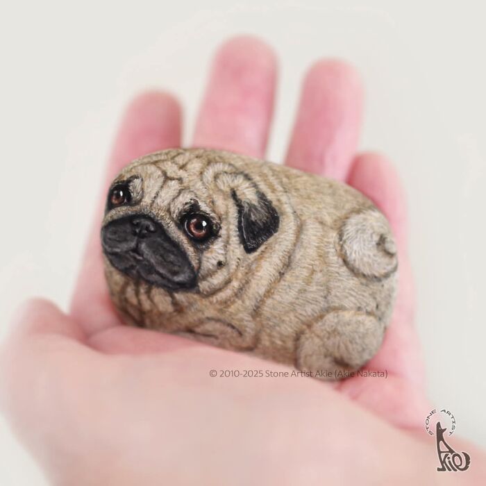 Japanese Artist Transforms Ordinary Stones Into Adorable Dogs With Incredible Detail (30 Pics)