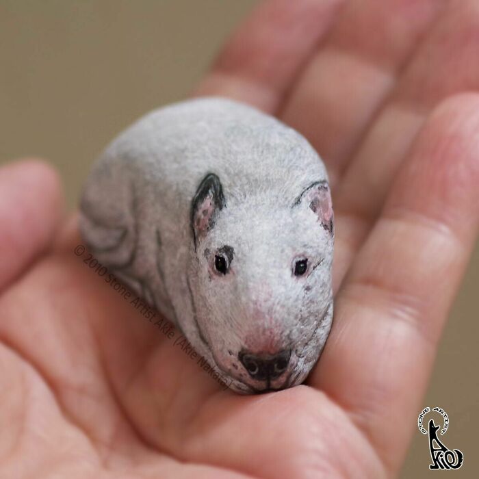 Japanese Artist Transforms Ordinary Stones Into Adorable Dogs With Incredible Detail (30 Pics)