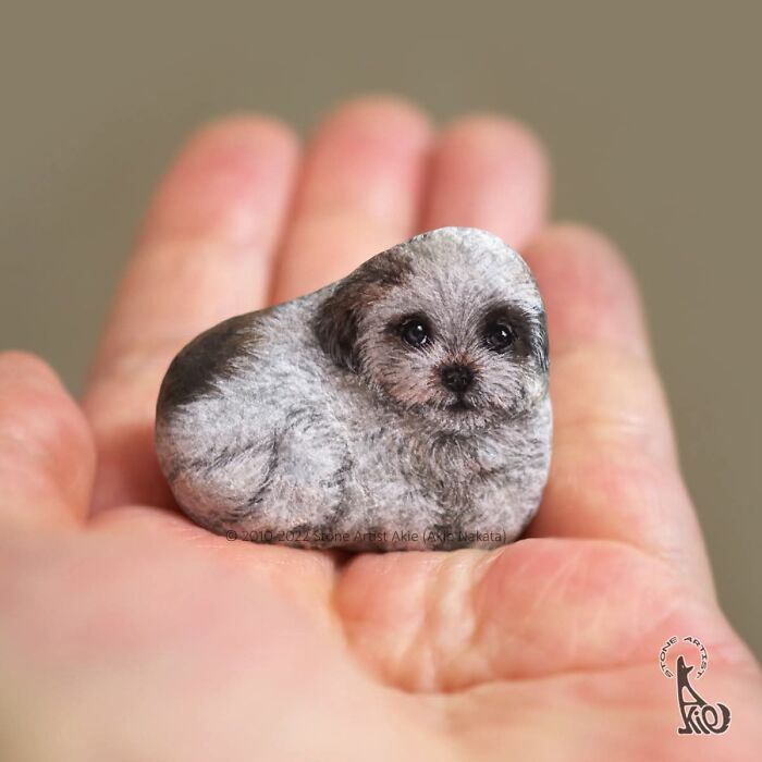 Japanese Artist Transforms Ordinary Stones Into Adorable Dogs With Incredible Detail (30 Pics)