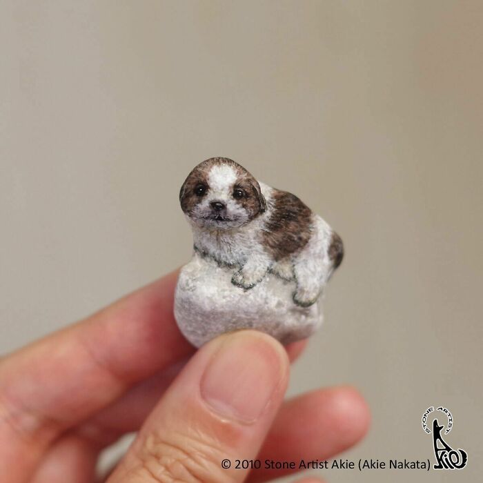 Japanese Artist Transforms Ordinary Stones Into Adorable Dogs With Incredible Detail (30 Pics)
