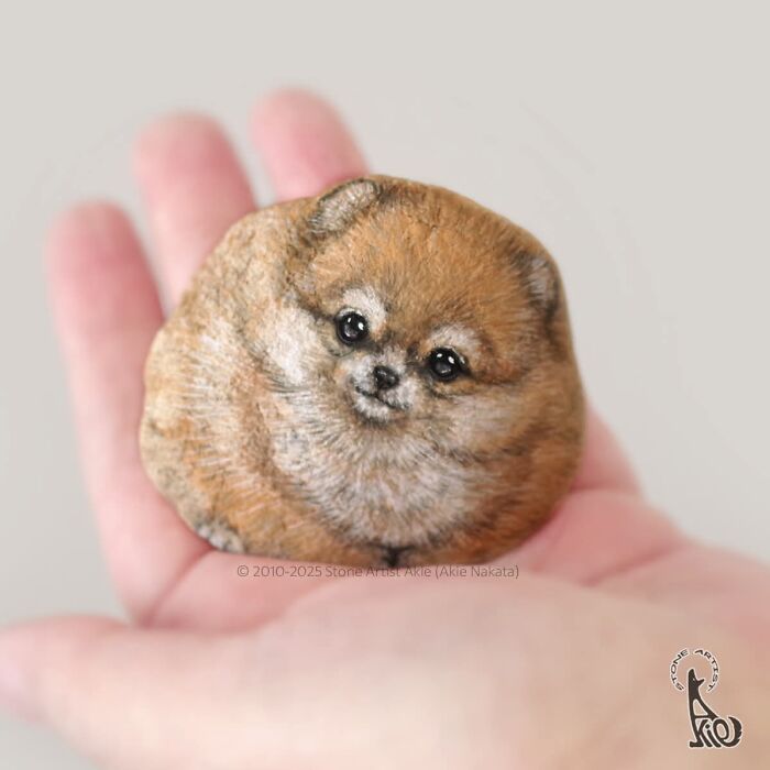 Japanese Artist Transforms Ordinary Stones Into Adorable Dogs With Incredible Detail (30 Pics)