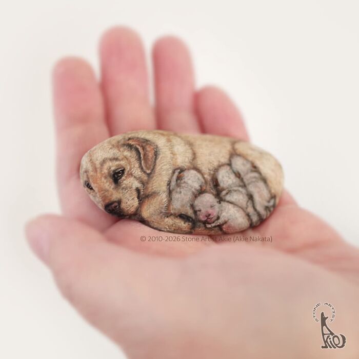 Japanese Artist Transforms Ordinary Stones Into Adorable Dogs With Incredible Detail (30 Pics)