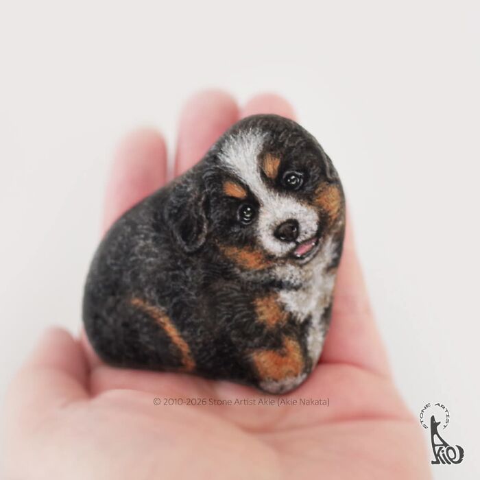 Japanese Artist Transforms Ordinary Stones Into Adorable Dogs With Incredible Detail (30 Pics)