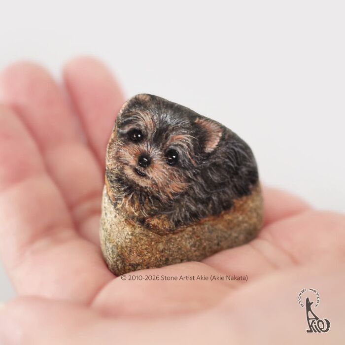Japanese Artist Transforms Ordinary Stones Into Adorable Dogs With Incredible Detail (30 Pics)