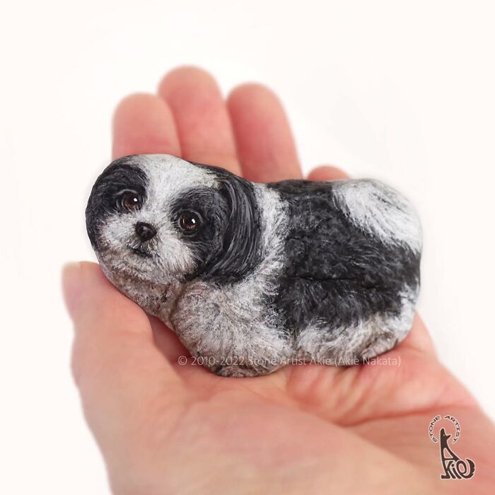 Japanese Artist Transforms Ordinary Stones Into Adorable Dogs With Incredible Detail (30 Pics)